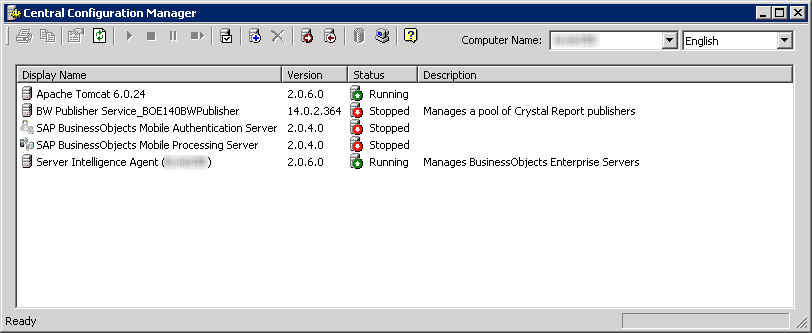 Central Configuration Manager XI 3.1
