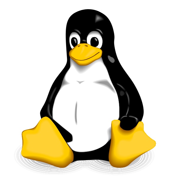 SAP BusinessObjects on Linux and Unix – part 4