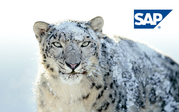SAP Snow Leopard