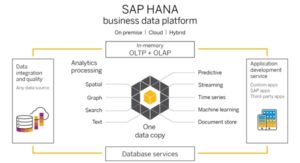 SAP HANA Business Data Platform Conceptual