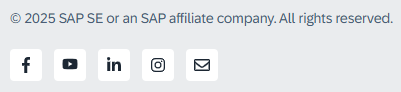 As of June 2025, SAP only displays links to Facebook, YouTube, LinkedIn and Instagram in its website footer.